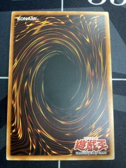 画像6: ELEMENTAL HERO WILDEDGE (E・HEROワイルド ジャギーマン)　アジア版 レリーフ 状態NM-【実物写真】