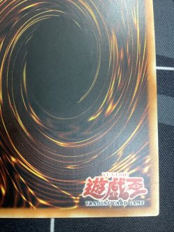 画像9: ELEMENTAL HERO WILDEDGE (E・HEROワイルド ジャギーマン)　アジア版 レリーフ 状態NM-【実物写真】