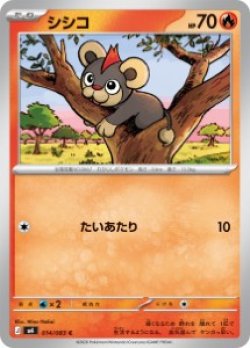 画像1: 【M4】シシコ【C】