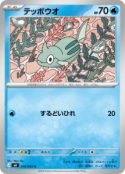 画像1: 【M4】テッポウオ【C】