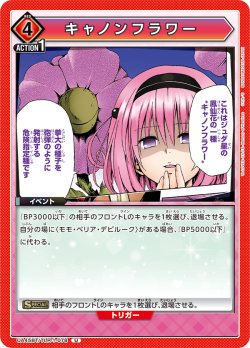 画像1: キャノンフラワー【U】