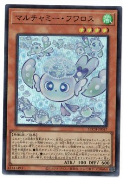 画像1: マルチャミー・フワロス【スーパー】