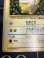 画像5: ピカチュウ　「すぐわかるポケモンカードの遊びかた」おまけ　1996年プロモ 状態VG 【実物写真】 (5)