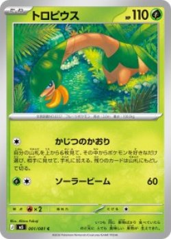 画像1: 【M5】トロピウス【C】