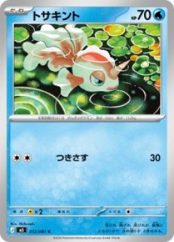 画像1: 【M5】トサキント【C】