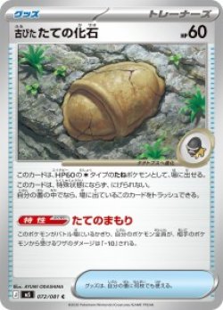 画像1: 【M5】古びたたての化石【C】
