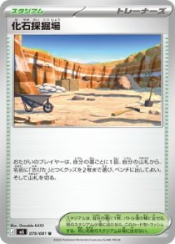 画像1: 【M5】化石採掘場【U】