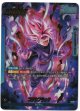 ゴクウブラック【リーダーパラレル】