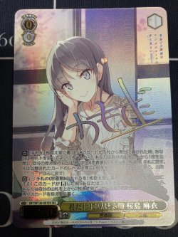 画像1: 君だけに見せる顔 桜島 麻衣【SEC】【青春ブタ野郎シリーズ】