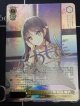 君だけに見せる顔 桜島 麻衣【SEC】【青春ブタ野郎シリーズ】