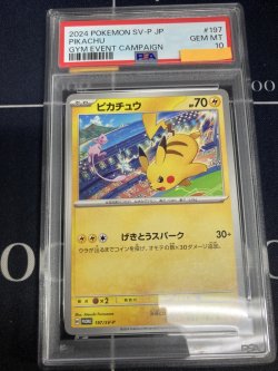 画像1: 【PSA10】ピカチュウ【ジムプロモ】【実物写真】