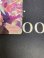画像6: 【GD05】EXリソース　ラクス・クライン柄【C+】【SP】【実物写真】状態NM (6)