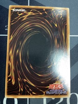 画像2: ブラックローズドラゴン レリーフ 状態VG【実物写真】