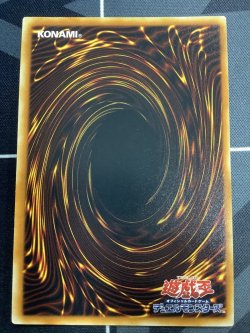 画像6: 真紅眼の闇竜 レリーフ 状態EX+【実物写真】