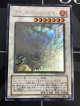 ブラックローズドラゴン ホログラフィックレア CRIMSON CRISIS NM- 【実物写真】