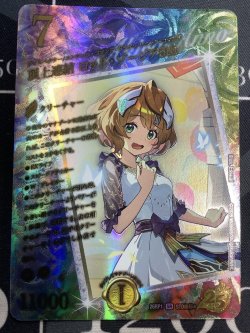 画像1: 頂上連結 ロッドゾージア5th【超シークレット】状態EX- 【実物写真】