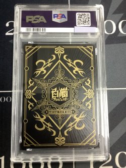 画像2: 【PSA10】ルカ B02-116/120 エクストラレア 【実物写真】