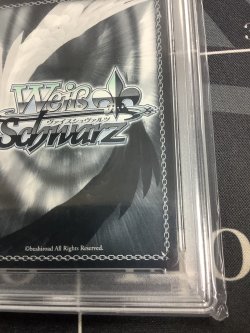 画像9: 【PSA10】強欲の魔女 エキドナ SEC+ リゼロ 【実物写真】