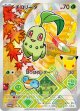 【プロモ】チコリータ【AR仕様】【3種セット】【未開封】