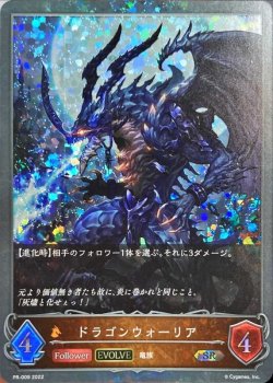 画像1: SR ドラゴンウォーリア(EVOLVE)