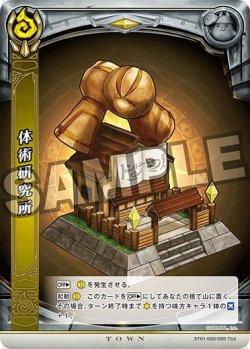 画像1: 体術研究所ST