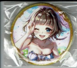 画像1: エクセリア　バッジ