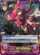 混沌を舞う魔槍騎 ニ―ヴ