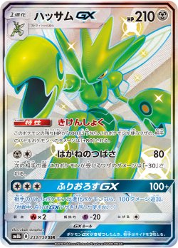 画像1: 【SM8b】ハッサムGX【SSR】 状態NM