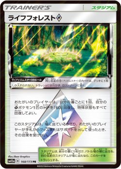 画像1: 【SM12a】ライフフォレスト◇【PR 】