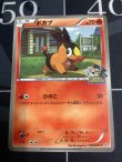 画像1: ポカブ　JR北海道ポケモン調査隊2011 ポケモンバトルトレインプロモ【実物写真】