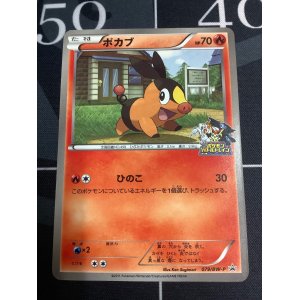 画像: ポカブ　JR北海道ポケモン調査隊2011 ポケモンバトルトレインプロモ【実物写真】