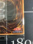画像10: Yu-Gi-Oh! World Championship 2019　来場記念カードセット【実物写真】