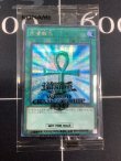 画像13: Yu-Gi-Oh! World Championship 2019　来場記念カードセット【実物写真】