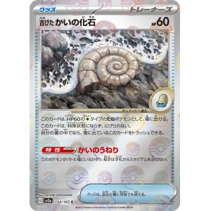 画像: 【sv2a】古びたかいの化石（ミラー）【C】