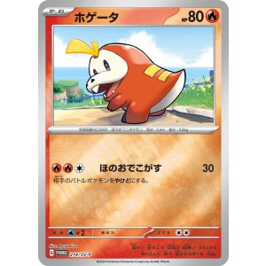 画像: 【PROMO】ホゲータ【P】