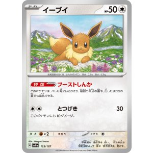 画像: 【sv8a】イーブイ【-】