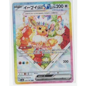 画像: 【sv8a】イーブイex【SAR】状態EX-