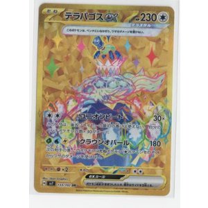 画像: 【sv7】テラパゴスex【UR】