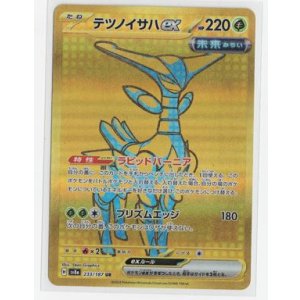 画像: 【sv8a】テツノイサハex【UR】