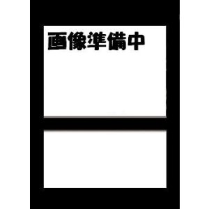 画像: 我流TENSAY-G01&T02【U】【シークレット】