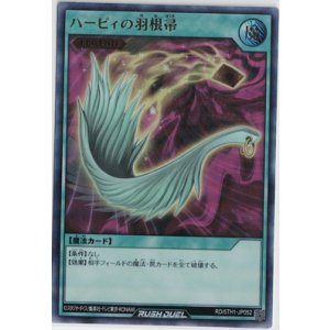 画像: ハーピィの羽根帚【ウルトラレア】