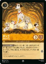 画像: ポンゴ-決意の父犬【スーパーレア】