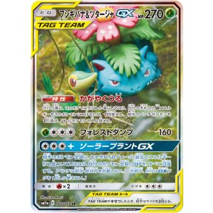 画像: 【SM11a】フシギバナ＆ツタージャGX【SR】【SA】状態EX+