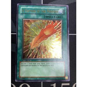 画像: FEATHER OF THE PHOENIX(鳳凰神の羽根) 旧アジア 状態NM- レリーフ【実物写真】