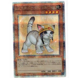 画像: レスキューキャット【クォーターセンチュリーシークレット】【絵違い】