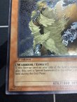 画像4: 異次元からの生還者 D.D. SURVIVOR レリーフ アジア版　1stED 状態nm-【実物写真】