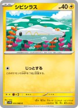 画像: 【sv11B】シビシラス【C】