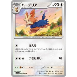 画像: 【sv11W】ハーデリア【C】