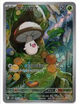 画像: 【sv11B】タマゲタケ【AR】