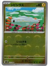 画像: 【sv11B】シビシラス【C】【モンスターボールミラー】